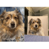 'Frosted Glass' Special Edition™ Texture Portrait