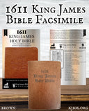 B.Y.O.B. "Bring Your Own Bible" 6 Pack Brown