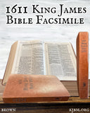 B.Y.O.B. "Bring Your Own Bible" 6 Pack Brown