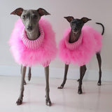 Haute Couture Feathered Luxury Pet Sweater