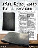 B.Y.O.B. "Bring Your Own Bible" 6 Pack Black
