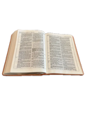 1611 King James Bible - Tan