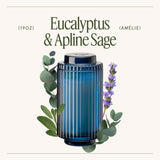 Amélie –  Eucalyptus & Alpine Sage Candle