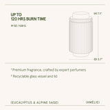 Amélie –  Eucalyptus & Alpine Sage Candle