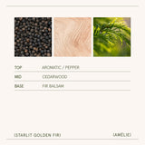 Amélie – Starlit Golden Fir 3oz Candle