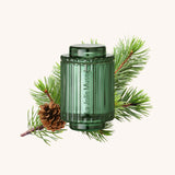 Amélie – Starlit Golden Fir 3oz Candle