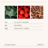 Amélie – Sylvan Figue Candle