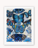 Butterfly Blue Fine Art Print