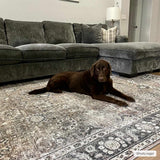 Ganyangan Washable Rug - Ocean Monroe
