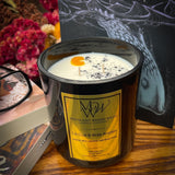Le Cuir & Bois Ancien | Luxury Soy Wax Candle - Ocean Monroe