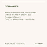 Lucienne - Eucalyptus & Alpine Sage Candle