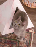 'Rose Quartz' Cardboard Cat Pyramid