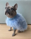 Haute Couture Feathered Luxury Pet Sweater