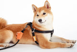 Touchdog ® 'Macaron' 2-in-1 Durable Nylon Dog Harness and Leash - Ocean Monroe