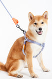 Touchdog ® 'Macaron' 2-in-1 Durable Nylon Dog Harness and Leash - Ocean Monroe