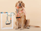 Touchdog ® 'Macaron' 2-in-1 Durable Nylon Dog Harness and Leash - Ocean Monroe