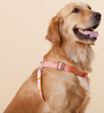 Touchdog ® 'Macaron' 2-in-1 Durable Nylon Dog Harness and Leash - Ocean Monroe
