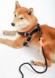Touchdog ® 'Macaron' 2-in-1 Durable Nylon Dog Harness and Leash - Ocean Monroe