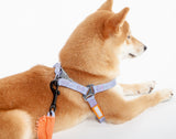 Touchdog ® 'Macaron' 2-in-1 Durable Nylon Dog Harness and Leash - Ocean Monroe